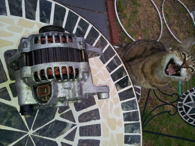 20120202_181851.jpg